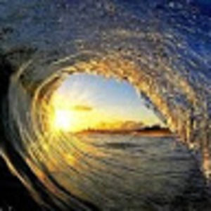 Meet your Posher, Erik